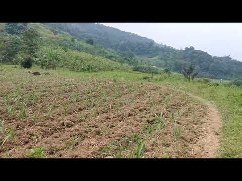 Proses Pemeliharaan