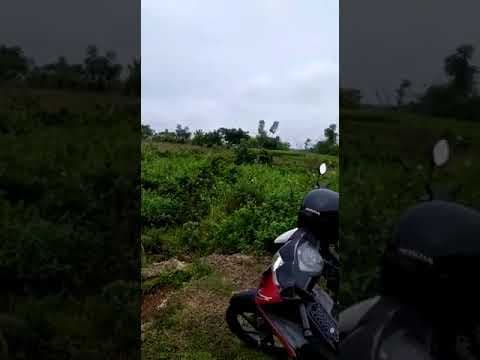 SBN Farm App